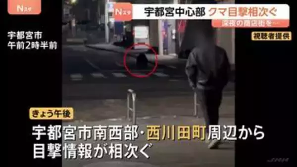 商店街を走り抜けるクマ…宇都宮市中心部で目撃情報相次ぐ「疑ったよ、自分の目を」 部活動の練習試合は全て中止に　現在もクマの行方分からず