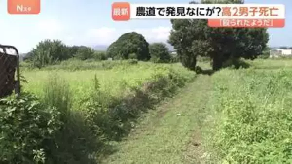 「男性が殴られたようだ」農道で意識のない男子高校生（17）見つかりその後死亡　事件に巻き込まれたか　相模原
