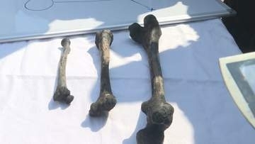 長生炭鉱事故　遺骨のDNA型は日韓両国の遺族と一致せず　韓国政府発表