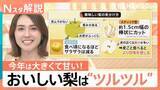 「ことしの梨は1.5倍？大きくて甘い！ 大玉の方が甘くなりがち？ おいしい梨の見分け方＆切り方【Nスタ解説】」の画像1
