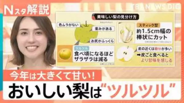 ことしの梨は1.5倍？大きくて甘い！ 大玉の方が甘くなりがち？ おいしい梨の見分け方＆切り方【Nスタ解説】