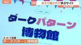 「「時間制限が出て急がなきゃ」ネット通販で知らぬ間に誘導「ダークパターン」規制強化へ　被害額3兆円か」の画像1