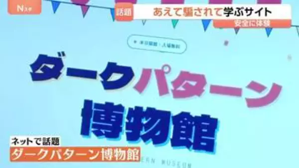 「時間制限が出て急がなきゃ」ネット通販で知らぬ間に誘導「ダークパターン」規制強化へ　被害額3兆円か