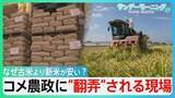 「なぜ古米より新米が安い？　コメ価格”異変”で「損切り」も　”じゃぶじゃぶ”政策から一転・・「備蓄米」買い戻し　コメ農政に”翻弄”される現場【サンデーモーニング】」の画像1