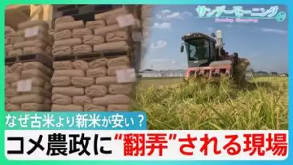 なぜ古米より新米が安い？　コメ価格”異変”で「損切り」も　”じゃぶじゃぶ”政策から一転・・「備蓄米」買い戻し　コメ農政に”翻弄”される現場【サンデーモーニング】