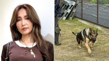 【 工藤静香 】　災害救助犬チームへ「ポータブル電源」を寄付　ライブグッズ売上の一部で支援「しーちゃんらしい社会貢献」「少しでも携われて幸せ」
