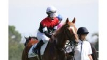 「諦めなかった人たちが実現してくれた」ーー作家・早見和真さんが語る、日曜劇場『ザ・ロイヤルファミリー』映像化までの道のりと“思いの継承”【ドラマTopics】