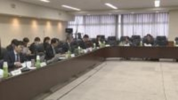 航空会社間でダイヤ調整や減便可能との見解示す　国交省　国内航空路線維持へ有識者会議