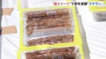 スイーツ味わいながらランニング「ミヤラン」開催 「給水ポイント」ならぬ「給スイーツポイント」あんず棒やさくら杏仁豆腐など冷えたスイーツ多数用意　栃木・宇都宮市