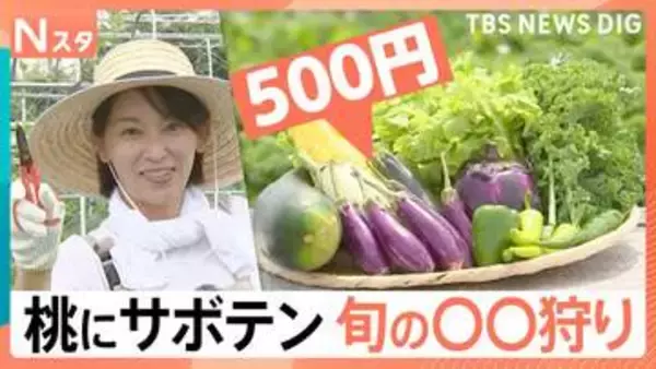 子どもも大人も夢中！ 3個で元がとれる「桃狩り」、ワンコインで旬の「野菜狩り」、60種類から厳選「サボテン狩り」【Nスタ】