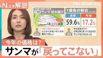秋の味覚「サンマ」に異変？　不漁に“小型化”も…価格は去年の約2倍に【Nスタ解説】