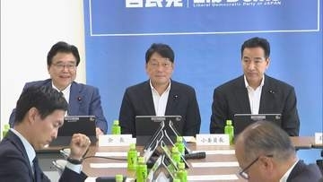 自民党税制調査会 「総額表示」義務の特例など了承　食料品の消費税減税めぐり
