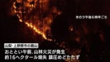 山梨・上野原市の山林火災　火は最も近い住宅まで約50ｍに迫る
