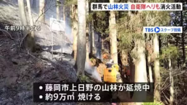 群馬・藤岡市で山林火災 延焼中、自衛隊に災害派遣要請
