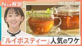 「市場規模5年で10倍！人気急上昇「ルイボスティー」数千人の雇用創出、飲む以外の活用法も【Nスタ解説】」の画像1