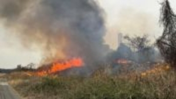 神奈川・厚木市　相模川の河川敷2か所で枯草火災　現在も延焼中