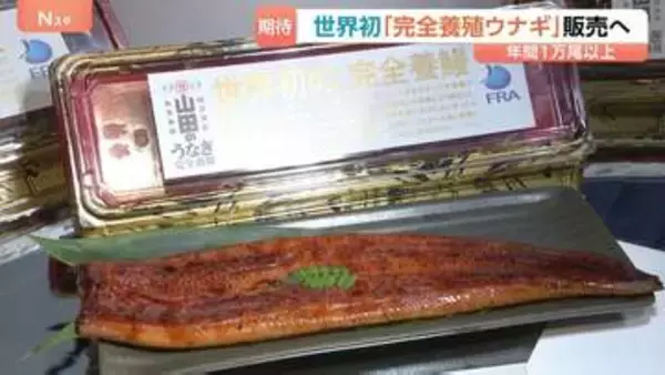 1尾あたり4860円「完全養殖ウナギ」29日から世界初の一般販売　ウナギ生産の救世主となるか