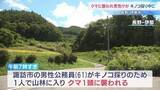 「キノコ採りで山林に入った61歳男性がクマ1頭に襲われ顔などけが 会話はできる状態　長野・伊那市」の画像1