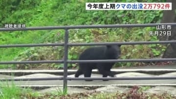 今年4月～9月のクマの出没件数2万792件 過去最多の年を大きく上回るペース　クマによる死者は12人　環境省