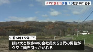 散歩中の50代男性がクマ2頭と遭遇　頭を引っかかれる　猟友会や市職員が対応協議　岩手・八幡平市