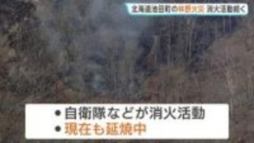 丸一日経っても消火活動続く…北海道・池田町で林野火災　住宅や牛舎など50～60ヘクタールが焼失　住宅の敷地内から燃え広がったか