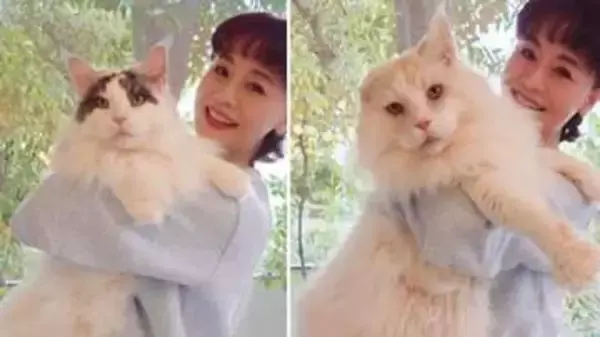 【 大地真央 】大型の愛猫2頭〝すくすくそだって12キロ〟抱き上げて「めでたく5さい」を報告