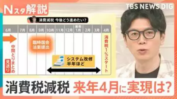 食料品の値上げ“年間2万品目ペース”に　「消費税1％」なら家計負担どのくらい減る？【Nスタ解説】