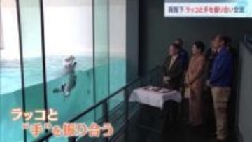 天皇皇后両陛下　ラッコと笑顔で“手”を振り合い…名物「イカミミジャンプ」成功で笑いながら拍手も　9日は「海づくり大会」出席　三重県