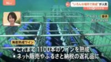 海に沈めて…雪に埋めて… 熟成されたワインやコーヒー　“熟成”で味わいゆたかに【Nスタ解説】