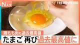「「物価の優等生」が再び最高値に　卵に鶏もも肉…食品価格の高止まりはいつまで続く？【Nスタ解説】」の画像1