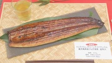 うなぎ豊漁で“大型サイズ”去年より500円安く店頭に…「土用の丑の日」商戦前に大手スーパー・イオンリテールで