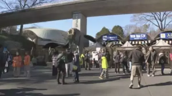 多摩動物公園がオオカミ脱走の原因公表 飼育エリアの壁に生えた植栽を伝うなどして擁壁を飛び越えたか　来月2日から通常通り開園　東京・日野市