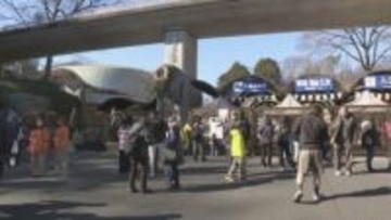 日野市・多摩動物公園がオオカミ脱走の原因公表 飼育エリアの壁に生えた植栽を伝うなどして擁壁を飛び越えたか　来月2日から通常通り開園