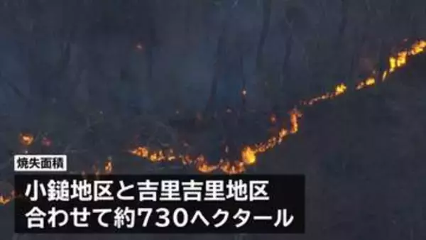 岩手・大槌町の山林火災　発生4日目のきょうはヘリによる放水や1000人規模で地上から消火活動