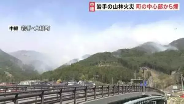 発生5日目　岩手・大槌町の山林火災　町の中心部から煙　人員合わせて1400人以上に増やして消火活動続く
