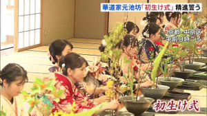 池坊 初生け式で精進誓う