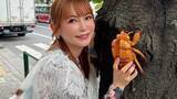 「【 中川翔子 】〝セミのぬけがらくれた！ひい！〟「通りすがりのお兄さん」に感謝　ガチャ・クレーンゲーム・特撮＆アニメの中野（ブロードウェイ）愛爆発」の画像1