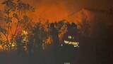 「スペイン山火事「大部分が封じ込められた」　バレンシア近郊で1人死亡」の画像1