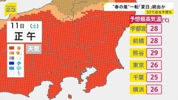 【全国で“春の嵐”】帰宅ラッシュに直撃した雨と風…各地で倒木相次ぐ　11日（土）は気温上昇…関東では夏日続出か【news23】