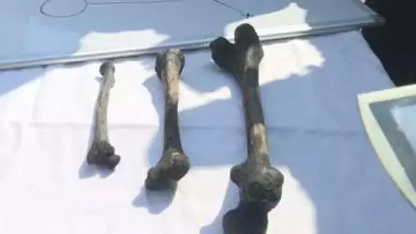 長生炭鉱事故　遺骨のDNA型は日韓両国の遺族と一致せず　韓国政府発表