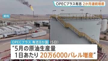 「供給全体の安定性に影響」OPECプラス有志8か国　5月も原油生産量20.6万バレル増産　エネルギー施設攻撃に懸念