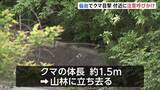 「仙台市内でクマ1頭目撃 体長約1.5m　付近には小学校やこども園も… 警察が注意呼びかけ　宮城」の画像1
