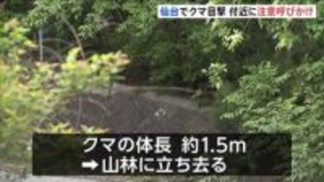 仙台市内でクマ1頭目撃 体長約1.5m　付近には小学校やこども園も… 警察が注意呼びかけ　宮城