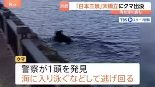 「日本三景」京都・天橋立にクマ出没　カメラが捉えたクマ…山形では旬のサクランボに被害