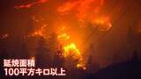 「カナダ西部で相次ぐ山火事　半分近くが「制御不能な状態」で非常事態宣言発令　トランプ大統領「アメリカに有害な空気が流入」」の画像1