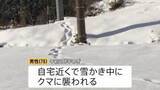 「「まさかここまで降っているとは…」真冬並みの最強寒気で日本各地に大雪　雪かき中に“クマ被害”も」の画像1