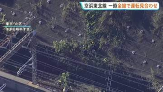 京浜東北線 倒木で一時全線運転見合わせ　約2時間後に運転再開も一部列車に遅れや運休も　倒木の原因調査中