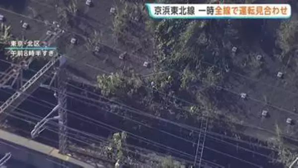 京浜東北線 倒木で一時全線運転見合わせ　約2時間後に運転再開も一部列車に遅れや運休も　倒木の原因調査中