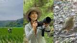 「【 磯野貴理子 】　「きり田んぼ」の草取り作業を報告「地味な作業だけど一番大事！」」の画像1
