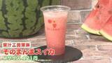 「スイカジュースが大ブーム！カフェでは「売り上げは去年の2倍」韓国でSNS話題の商品を発見」の画像1